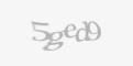 Защитный код